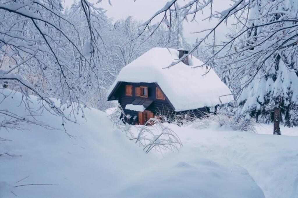 Cottage In The Woods - Lake Bohinj Exteriör bild